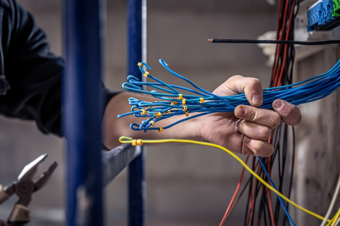 Gebündelte Datenkabel in der Hand eines Elektrikers